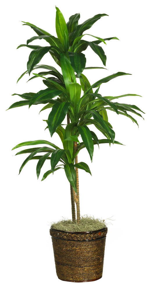 48" Dracaena With Basket Silk Plant, Real Touch
