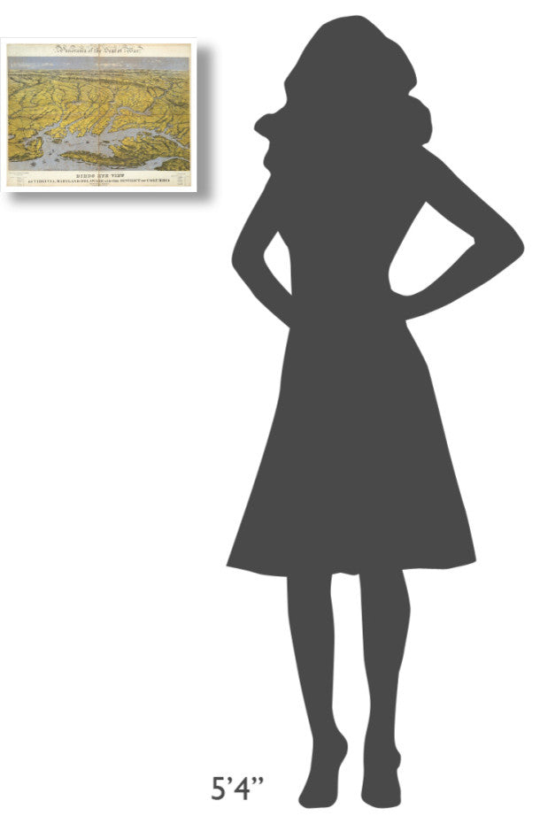 "Virginia, Maryland Delaware and District of Columbia, 1861" Paper Art, 18"x14"
