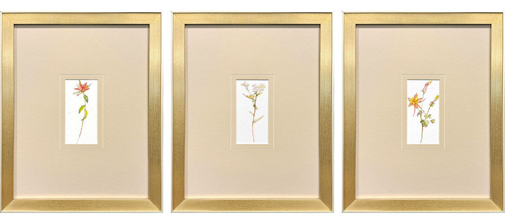 Pretty Florals II Framed Art, 3-Piece Set