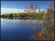 "Tobique River, New Brunswick, Canada"  by Tim Fitzharris, 33x25"