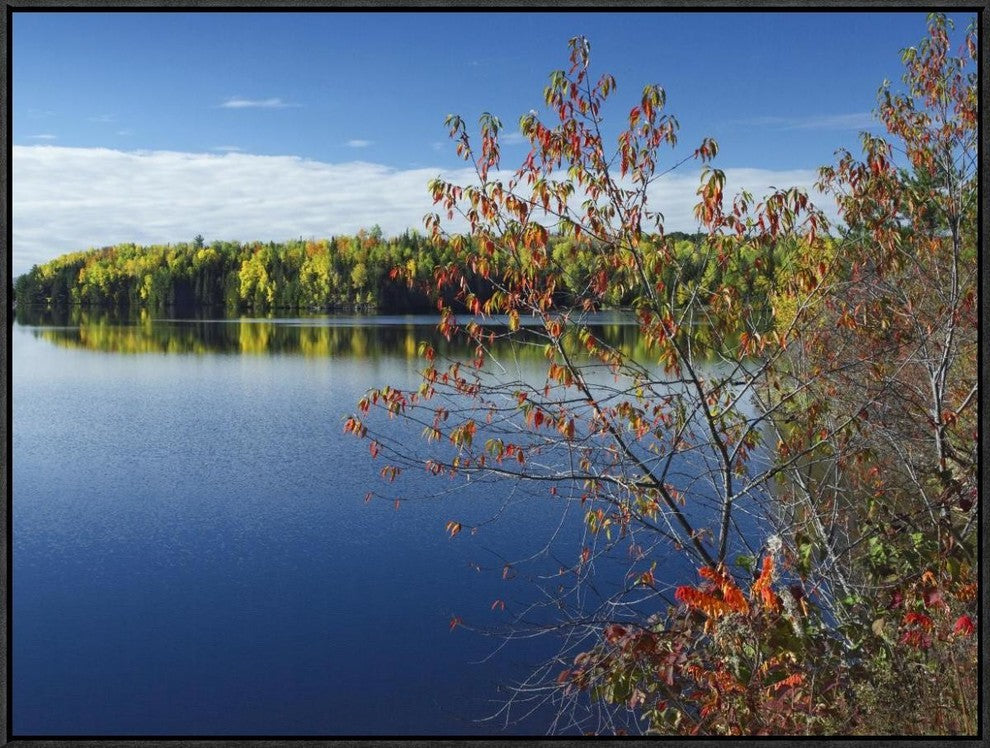 "Tobique River, New Brunswick, Canada"  by Tim Fitzharris, 33x25"