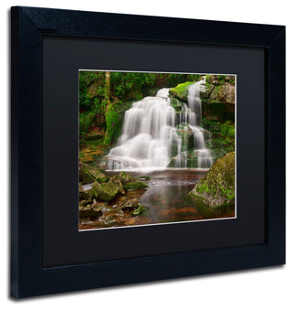 Michael Blanchette 'Elakala Falls' Art, Black Frame, Black Mat, 14x11