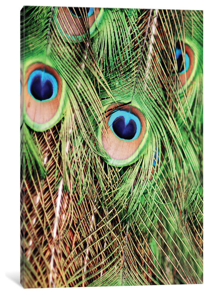 "Peacock Feathers" by Chelsea Victoria, 40x26x1.5