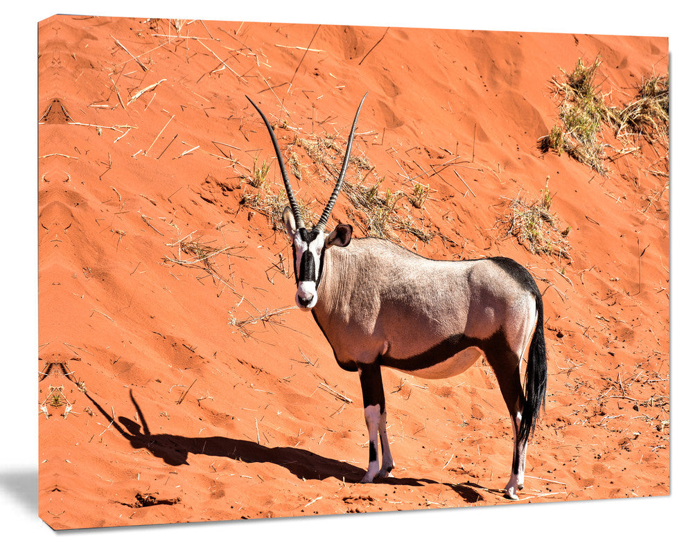 Large Oryx in Bright Namib Desert, Animal Canvas Art Print, 40"x30"