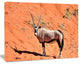 Large Oryx in Bright Namib Desert, Animal Canvas Art Print, 40"x30"