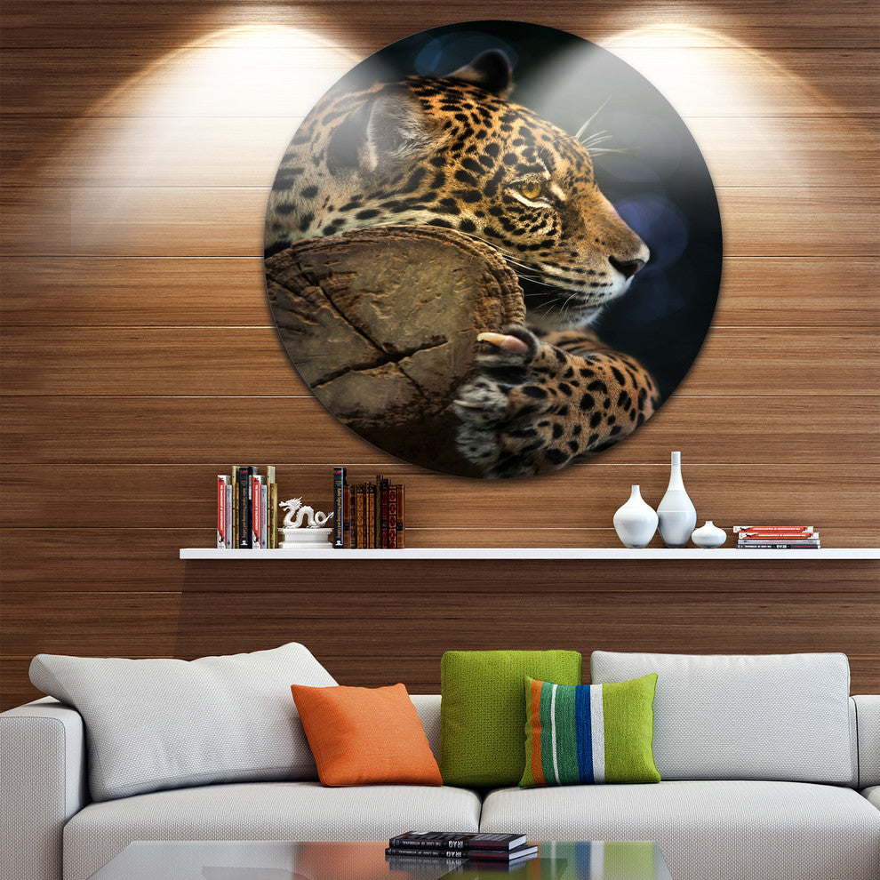 Relaxing Jaguar, Animal Photography Round Metal Wall Art, 11"