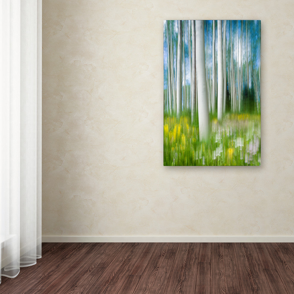 Michael Blanchette Photography 'Aspen Impression' Canvas Art, 16"x24"