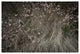 PETALUMA ROAD TRIP #3, 24x36