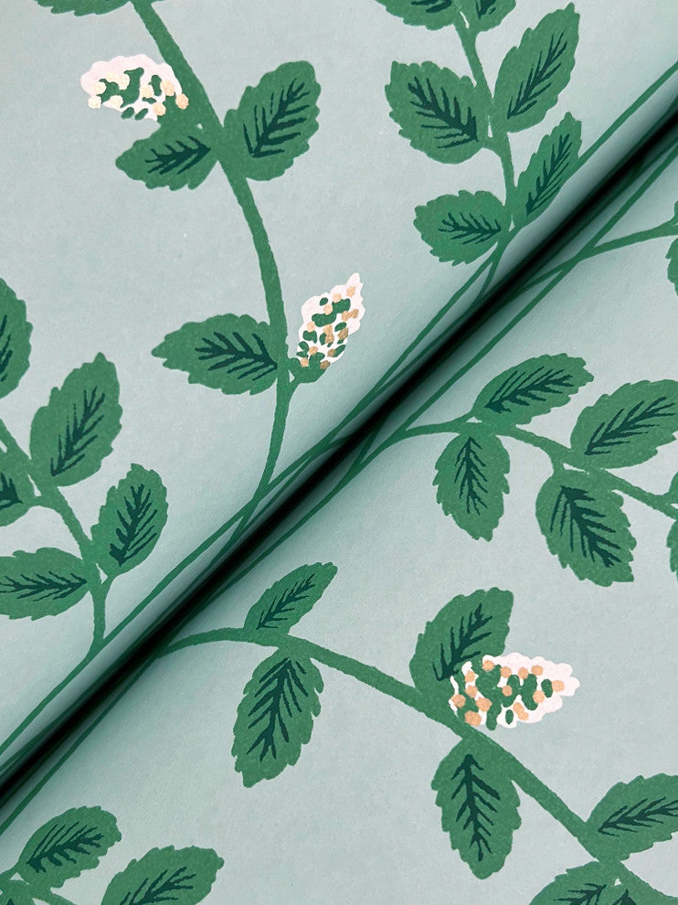 Climbing Vine Soft Teal Wallpaper