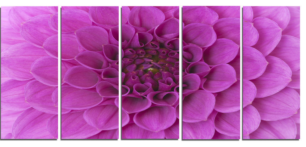 Large Purple Flower and Petals, Floral Canvas Art Print, 60"x28", 5 Panels