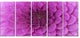 Large Purple Flower and Petals, Floral Canvas Art Print, 60"x28", 5 Panels