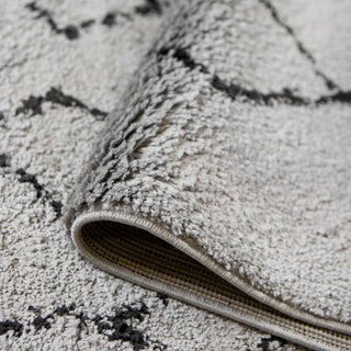 Aspen Shag Polypropylene Area Rug, Gray/Black, 2'2" X 10'