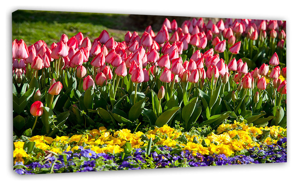 Tulip Garden with Yellow Flowers, Floral Canvas Art Print, 32"x16"