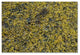 Nicole Dietz 'Seaweed' Canvas Art, 19x12