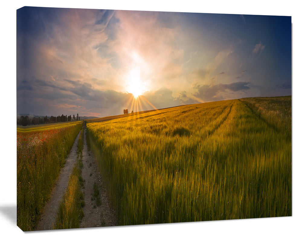 Sunset in Field of Grain Panorama, Landscape Canvas Art Print, 40"x30"