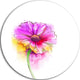 Purple Yellow Gerbera Flower, Flower Round Wall Art, 23"