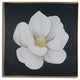 Delicate White Magnolia Flower Framed Canvas Wall Art