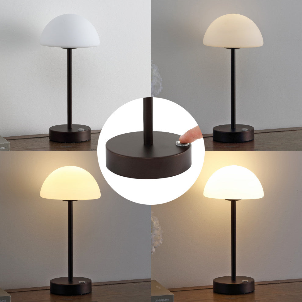 12.5" Modern Minimalist Iron Rechargeable Integrated LED Table Lamp, Black