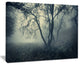"Forest With Green Fog in Morning" Landscape Photo Wall Art, 20"x12"