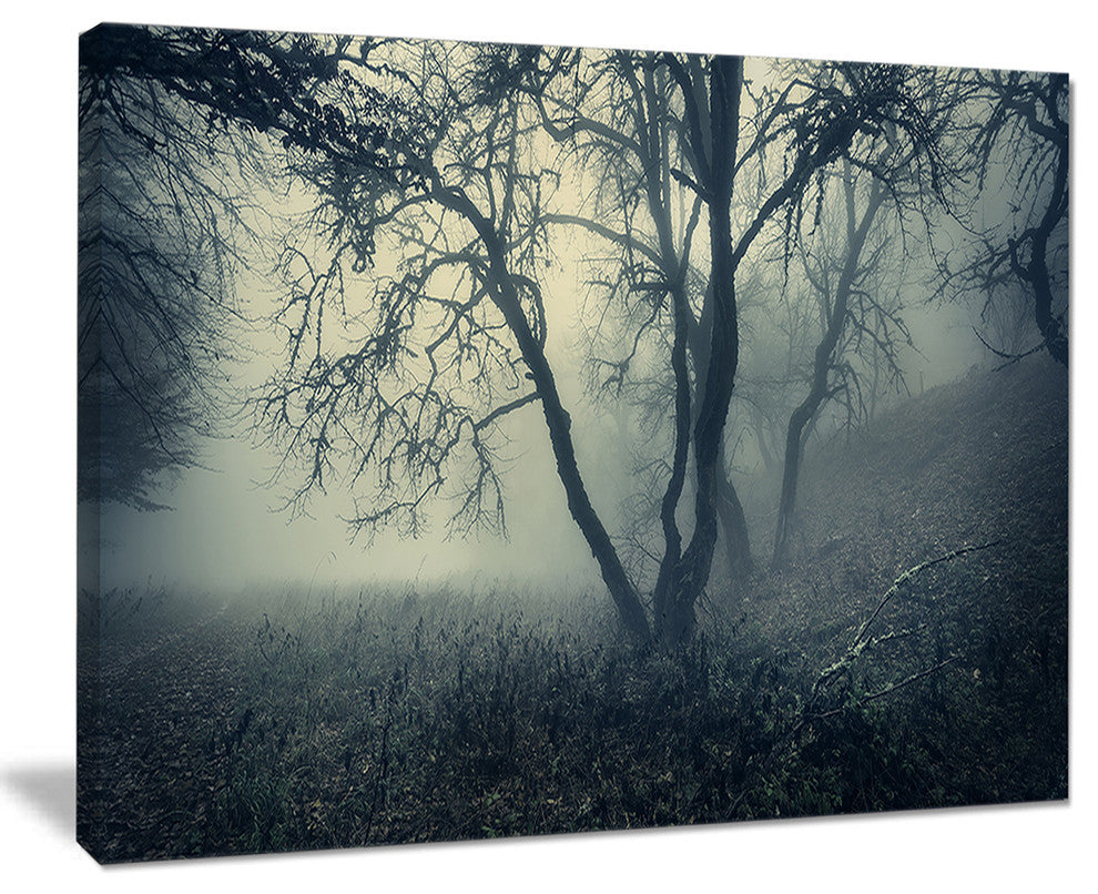 "Forest With Green Fog in Morning" Landscape Photo Wall Art, 20"x12"