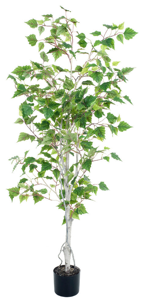 Full product on white background, front-facing view. No text or diagrams.