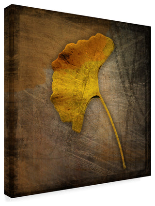 John W. Golden 'Gingko Brown' Canvas Art, 24"x24"