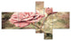 Vintage Pink Roses with Water Drops, Floral Art Canvas Print, 60"x32", 5 panels