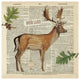 "Lodge Collage III" Digital Paper Print by Katie Pertiet, 42"x42"