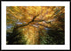 "Golden-colored autumn foliage, abstract"  by Konrad Wothe, 44x32"