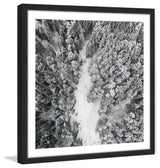 "Path Among Giants" Framed Print by Karolis Janulis