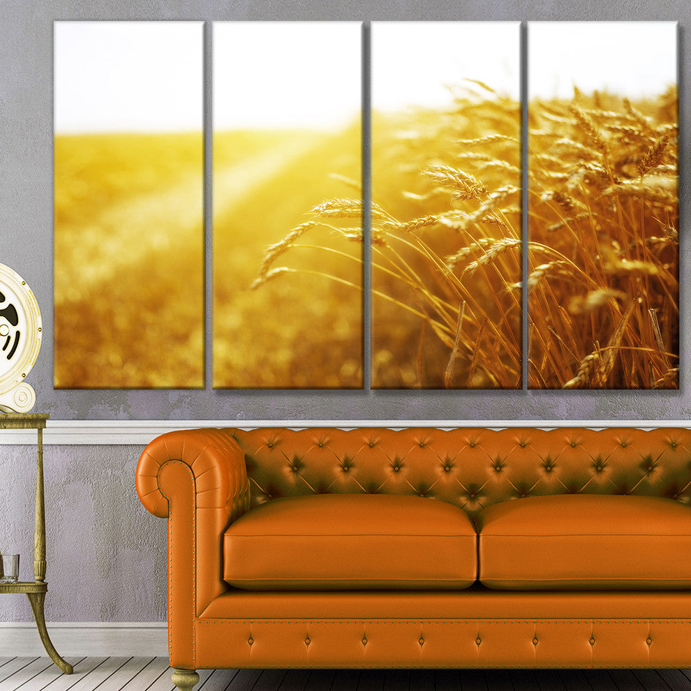 Bright Sunset over Wheat Field, Landscape Canvas Art Print, 48"x28", 4 Panels
