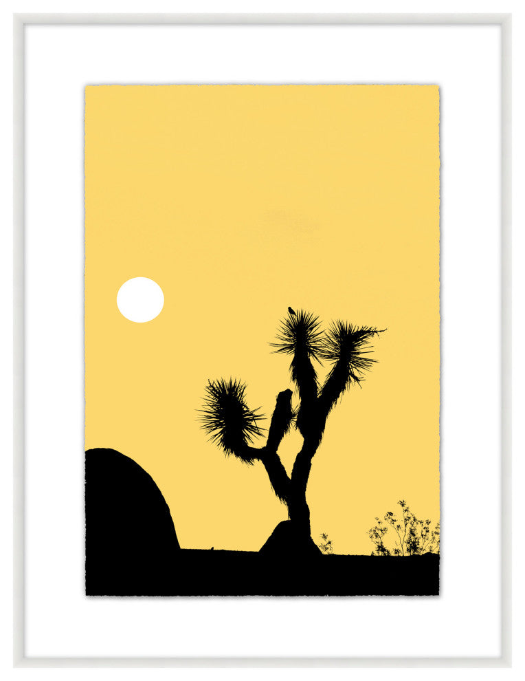 Joshua Tree Dance 3