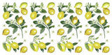 Green & Yellow & White Lemon Wall Decals