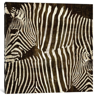"Zebras" by Darren Davison, Canvas Print, 12"x12"