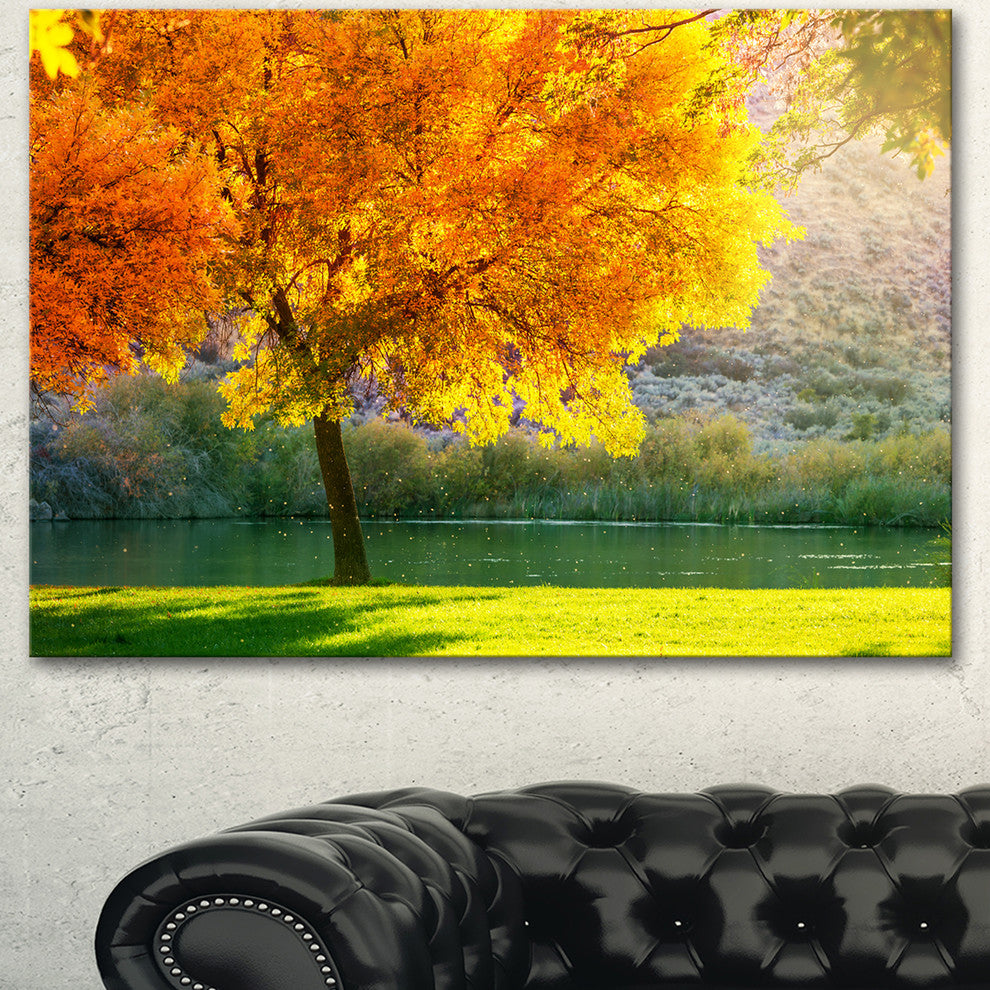 Beautiful Autumn Season in Forest, Extra Large Landscape Canvas Art, 40"x30"