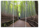 "Arashiyama Bamboo Path Japan" Canvas Wall Art Print, 3 Panels, 36"x28"