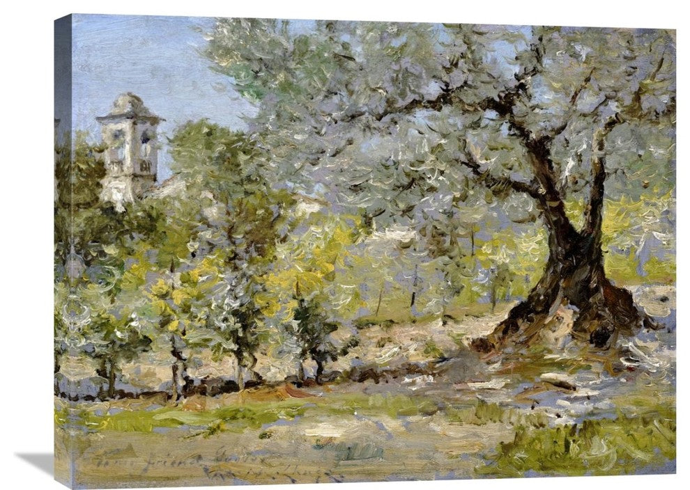 "Olive Trees In Florence" Artwork, 30" x 23"