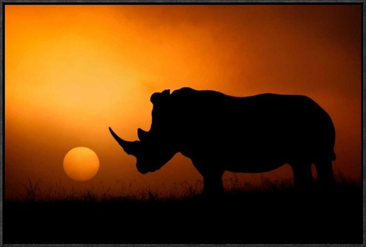 "Rhino Sunrise" Framed Canvas Giclee by Mario Moreno, 31x21"