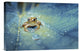 "Crystal Guard" Stretched Canvas Giclee by Robby Fakhriannur, 18x12"