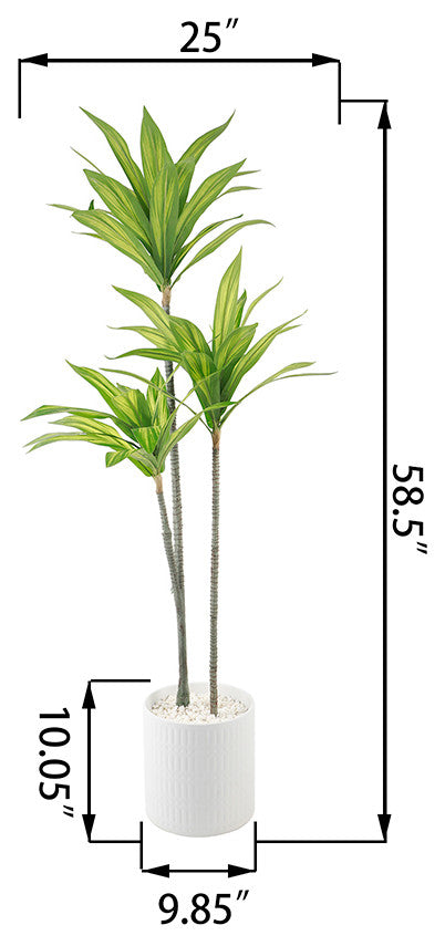 59"H Tree, 10" Roman Ceramic 10X10X10