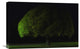 "Mushroom Tree" Stretched Canvas Giclee by Stelios Kirtselis, 22x15"