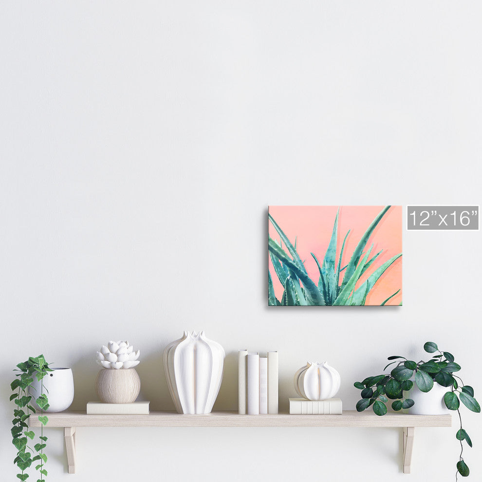 Ready2HangArt 'Aloe Need' Wrapped Canvas Succulent Wall Art, 12"x16"