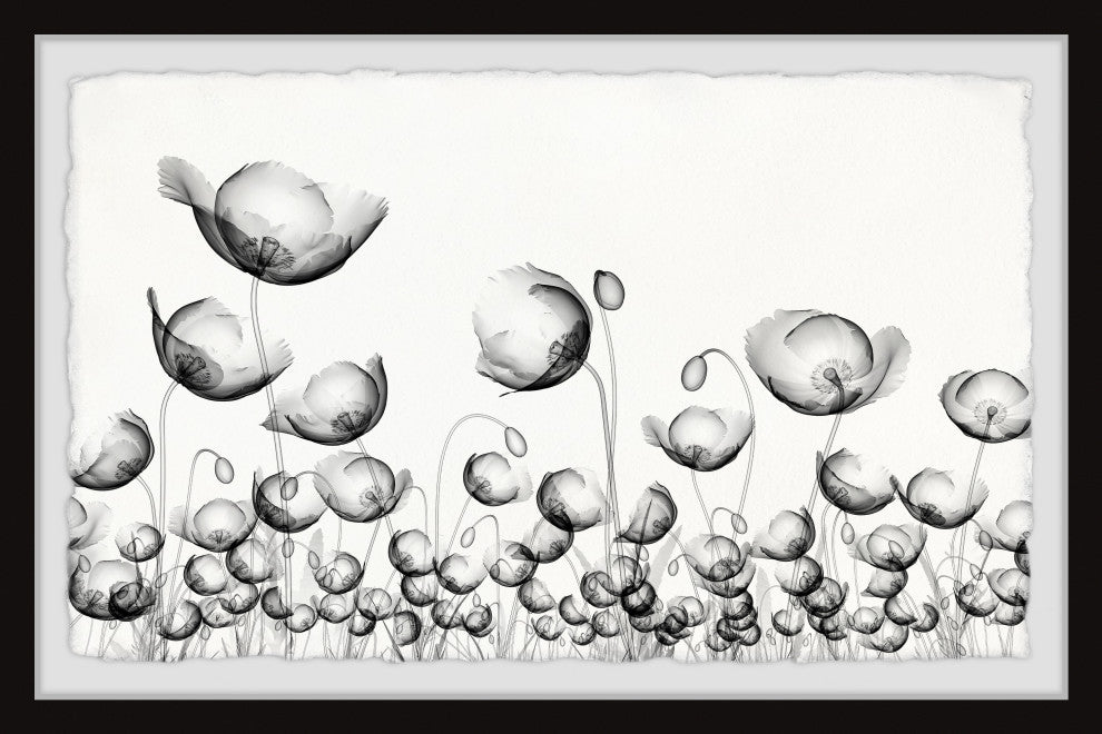 "Poppy Fields" Framed Painting Print, 12x8