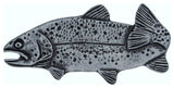 Trout Left Facing Cabinet Knob, 2", Pewter