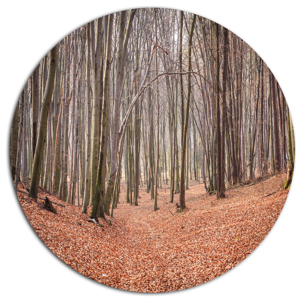Leaves In The Thick Fall Forest, Forest Large Disc Metal Wall Art, 23"