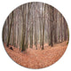 Leaves In The Thick Fall Forest, Forest Large Disc Metal Wall Art, 23"