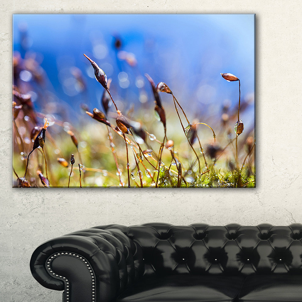 "Abstract Summer Spring Moss Flowers" Landscape Wall Art, 40"x20"