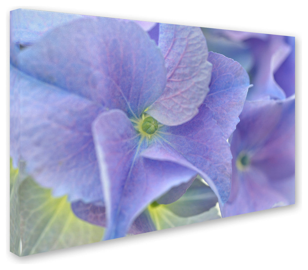 Cora Niele ''Blue Hortensia'' Canvas Art