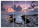 "Dinosaur Footprint Magoito Beach" Metal Wall Art, 3 Panels, 36"x28"