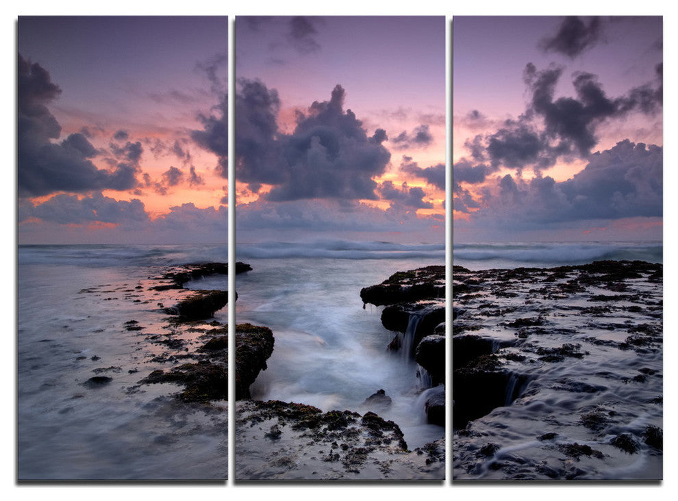 "Dinosaur Footprint Magoito Beach" Metal Wall Art, 3 Panels, 36"x28"